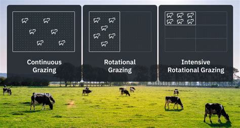 Pasture Management How To Plan And Implement It Effectively 2022