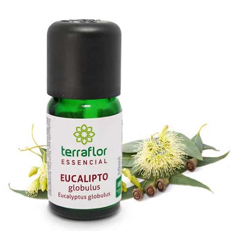 Óleo essencial de Eucalipto globulus Terra Flor Aromaterapia