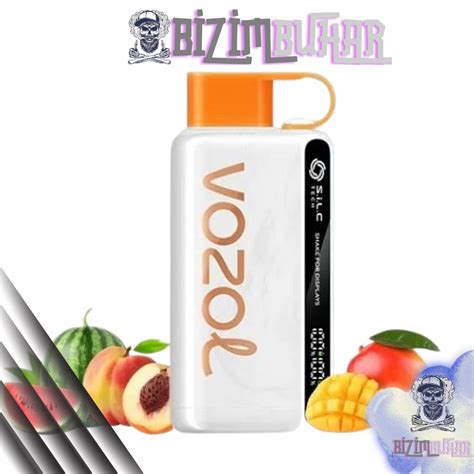 Vozol Star Puff Peach Mango Watermelon