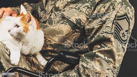 Disabled Military Service Member Holding Therapy Cat In A Wheelchair