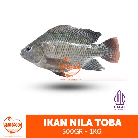 Jual Ikan Nila Danau Toba Hidup Gr Kg Shopee Indonesia