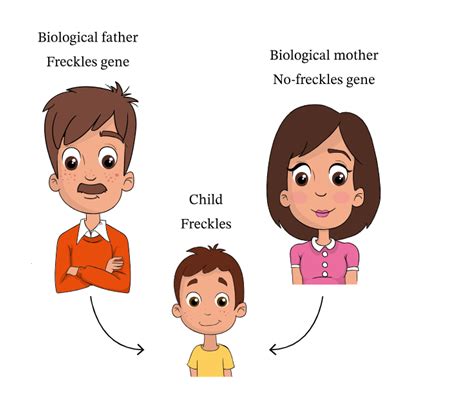 Four Examples Of Inherited Traits