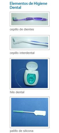 Odonto Salud Tecnica De Cepillado Correcta