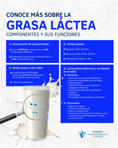 Infografías Fundación Iberoamericana de Nutrición