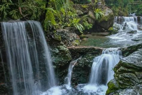 Curug Balong Endah Surga Tersembunyi Di Taman Nasional Gunung Halimun