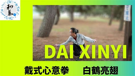 戴式心意拳「白鶴亮翅」vol.92 Dai shi Xinyi Chinese Martial Arts 中国武術 Kungfu wushu ...