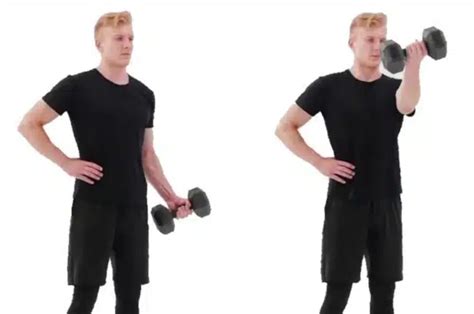 Muscles Worked in the Standing Dumbbell Fly Exercise and Why It Matters