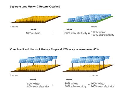 What Is Agrivoltaics How Can Solar Energy And Agriculture Work Together