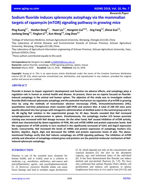 PDF Sodium Fluoride Induces Splenocyte Autophagy Via The Mammalian