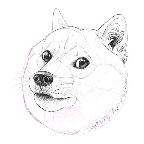 Such Tutorial, Many Fun: How to Draw Doge! | Envato Tuts+