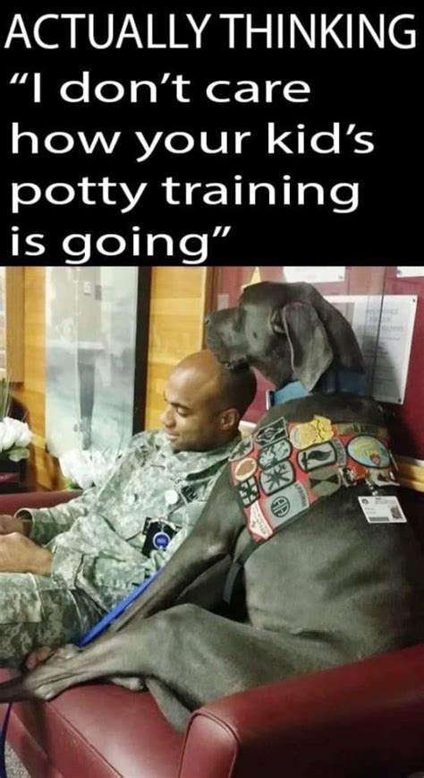 🐶 35 Funniest Service Dog Memes Guaranteed To Lol 🤣 Doggypedia