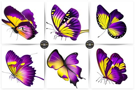 Butterfly Collection Graphic By Hassas Arts · Creative Fabrica