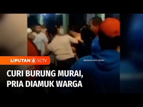 Curi Burung Murai Senilai Rp3 Juta Pria Babak Belur Dihajar Massa