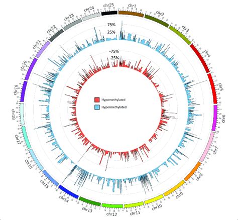 Global Methylation Patterns In Zebrafish Embryos Exposed To M Bpa