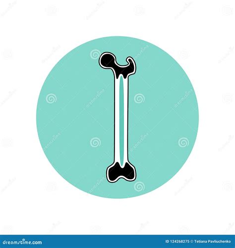 Vector Illustration Of Bone Marrow Stock Vector Illustration Of