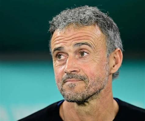 Notícias Psg Quer Luis Enrique Para Substituir Christophe Galtier No