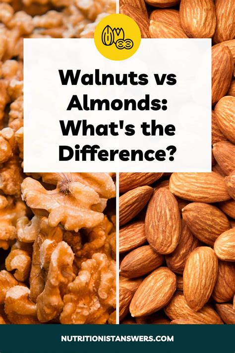 Cashew Milk Vs Almond Milk A Nutritionist S Comparison