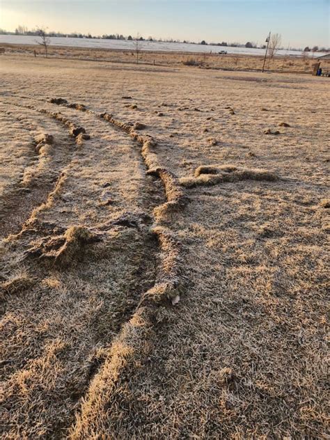 Broomfield Commons Park vandalism costs city $26,000 | FOX31 Denver