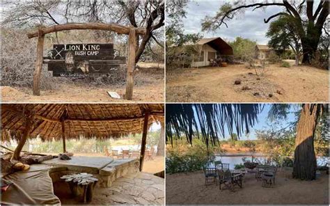 Best Safari Camps And Lodges In Samburu National Reserve