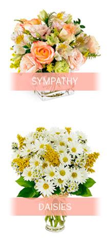 Send Flowers Today Cheap ⚜️ Jun 2025