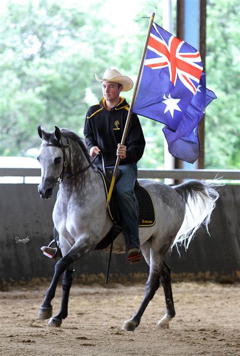 PRINCE CHARMING FF – 2018 WAHO Trophy Winner – Australia