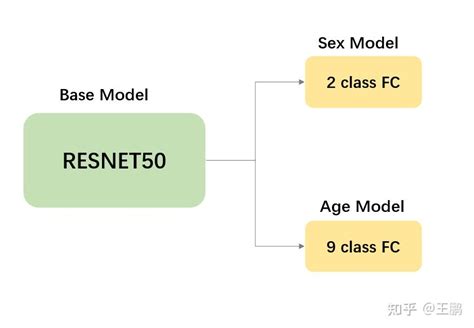 人脸属性识别pytorch lighting多标签预测实战 知乎