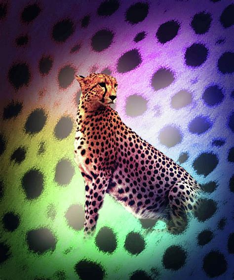 Cute Rainbow Cheetah Digital Art By Random Galaxy Fine Art America