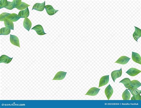 Swamp Leaf Nature Vector Transparent Background Stock Vector