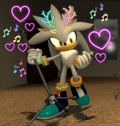 Pin By On S Silver The Hedgehog Funny Hedgehog Hedgehog