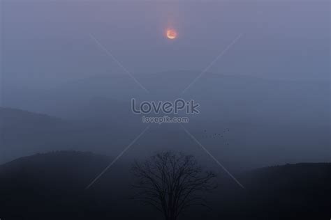 simple image  picture    lovepik