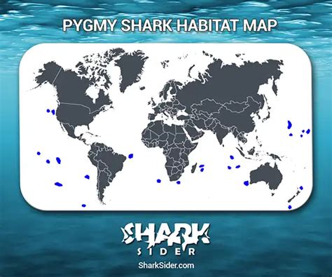 Pygmy Shark – Facts, Size, Behavior, Diet, Pictures