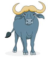 Water buffalo clipart 20 free Cliparts | Download images on Clipground 2024