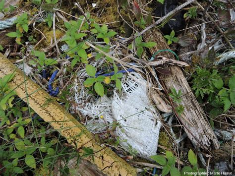 Plastic Bay En Norv Ge Comment La G Ologie D Une Ile Et Les Courants