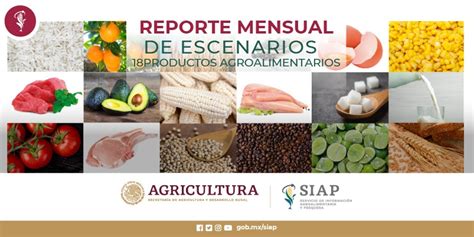 Reporte Mensual De Escenarios De 18 Productos Agroalimentarios 2023