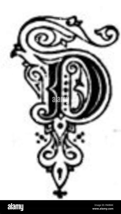 Calligraphy Fancy Letter D Designs Img Fuzz