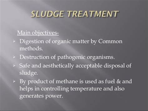 Sludge treatment and disposal