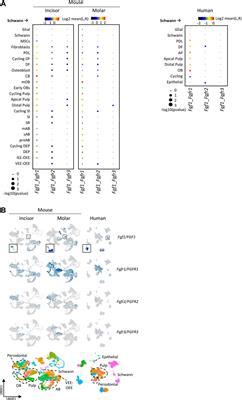 Frontiers Establishment Of Inclusive Single Cell Transcriptome