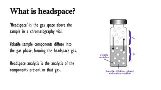 Headspace Analysis PPT