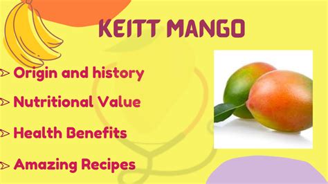 Keitt Mango Origin Characteristics Nutrition Amazing Benefits