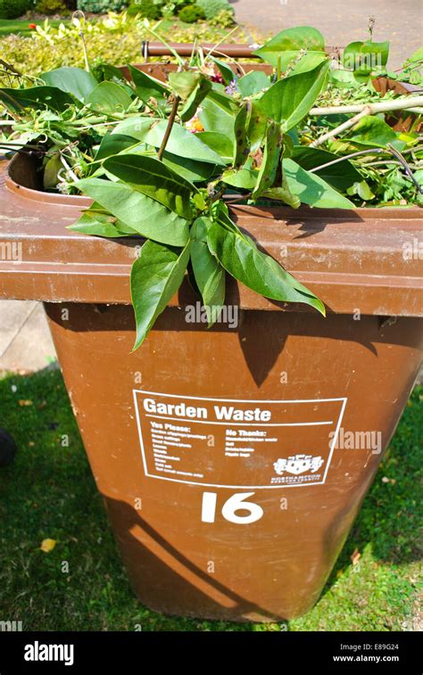 Garden Waste Recycling Bin Stock Photo Alamy