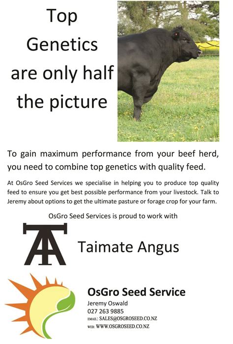 Taimate Angus Bull Sale Catalogue 2023 By Taimateangus Issuu