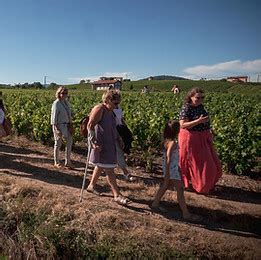 Le Serment Du Vigneron Spectacle Son Et Lumiere Odenas France