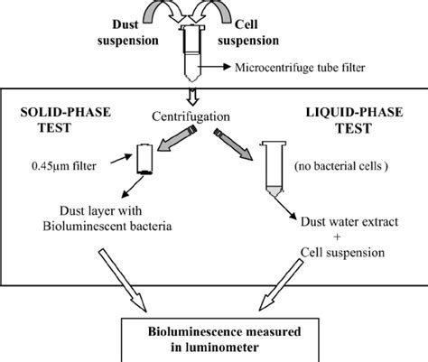 Ecotoxicity testing (solid and liquid-phase) using reconstituted ...