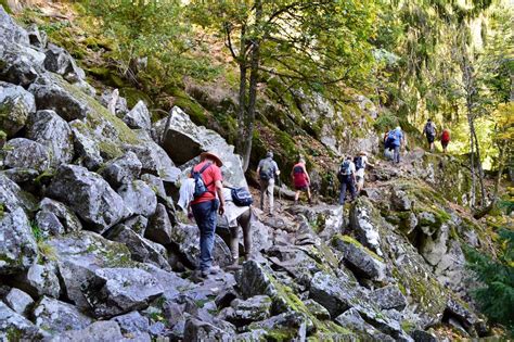 Sentier Des Roches Wandelen In De Hoge Vogezen Zin In Frankrijk