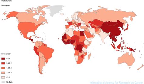 Incidence And Mortality Of Liver Cancer And Their Relationship With The