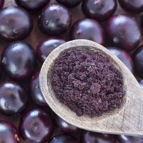 Organic Acai Berry Powder Non GMO Kosher Raw Freeze Dried By Food