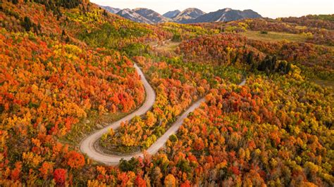 Top States to View Fall Foliage - nuCamp RV