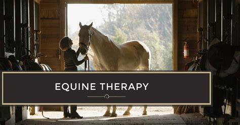 Equine Therapy At The Dunes Alcohol And Drug Rehab Luxury Rehab