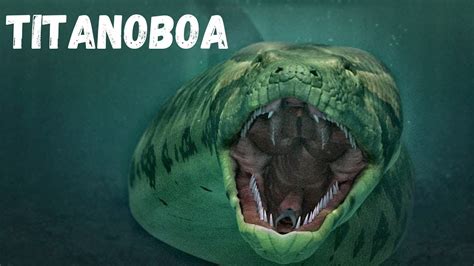 ASSUSTADOR A maior cobra que já existiu no mundo Titanoboa YouTube