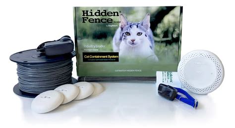 How to Make an Effective DIY Cat Proof Fence: The Ultimate Guide ...